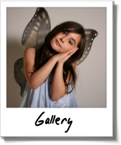 Photo Gallery